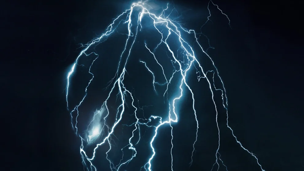 The Predator: Hunters and Hunted